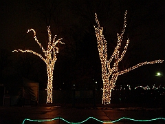 095 Toledo Zoo Light Show [2008 Dec 27]